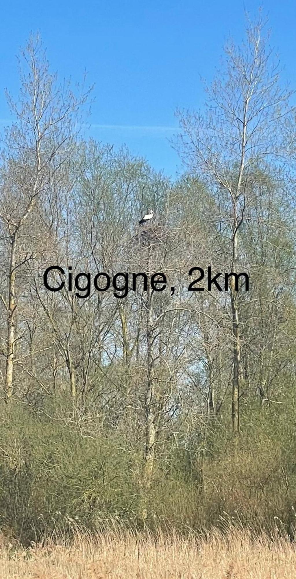 La Vue De Chateau, Maison Neuve En Baie De Somme Vaudricourt Zewnętrze zdjęcie
